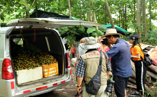 圖片9.png 圖片9.png