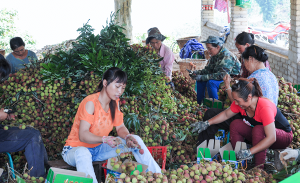 圖片10.png 圖片10.png