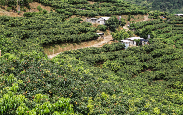 圖片3.png 圖片3.png