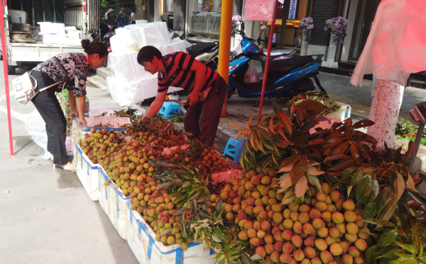 圖片11.png 圖片11.png