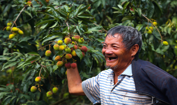 圖片8.png 圖片8.png