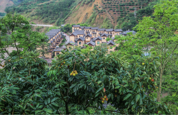 圖片4.png 圖片4.png