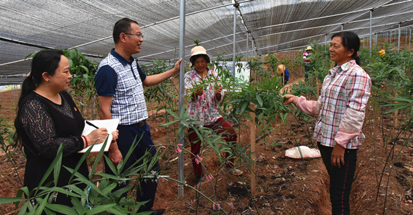 5_副本.jpg 5_副本.jpg