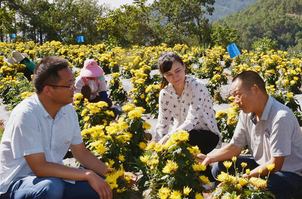 3._副本.jpg 3._副本.jpg