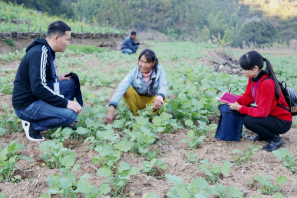八落村 主題黨日  (52)  600.jpg