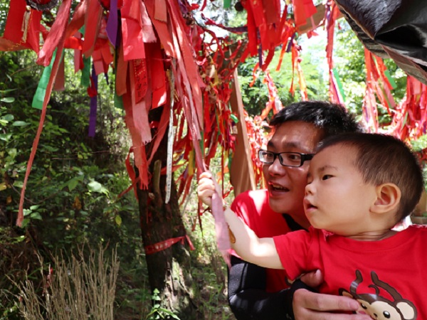 保山.jpg 保山.jpg