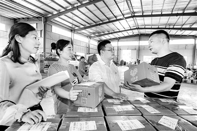 res01_attpic_brief.jpg res01_attpic_brief.jpg