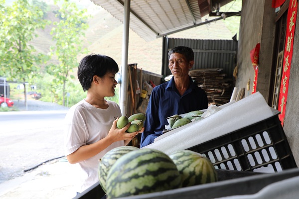 紅河金平.jpg 紅河金平.jpg