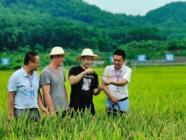 紅河河口.jpg 紅河河口.jpg