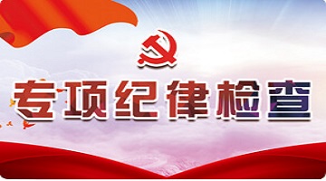 專項紀律檢查