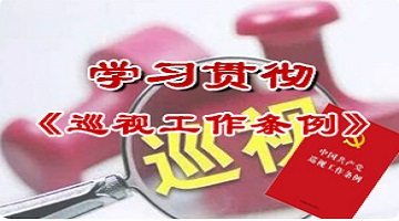 學習貫徹《巡視工作條例》