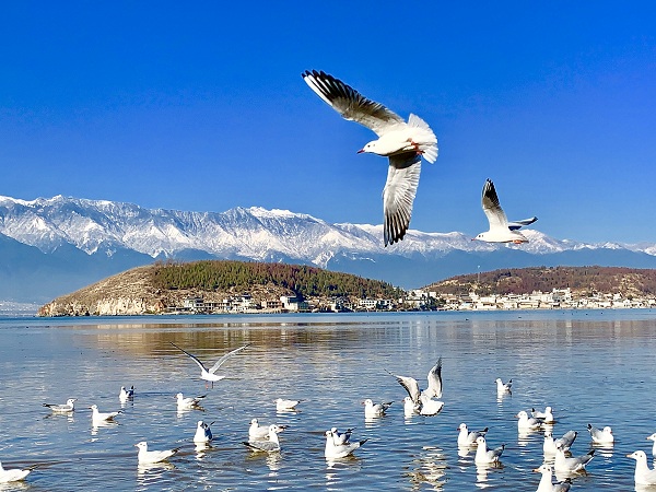 祥云（雷狀云  攝）.jpg