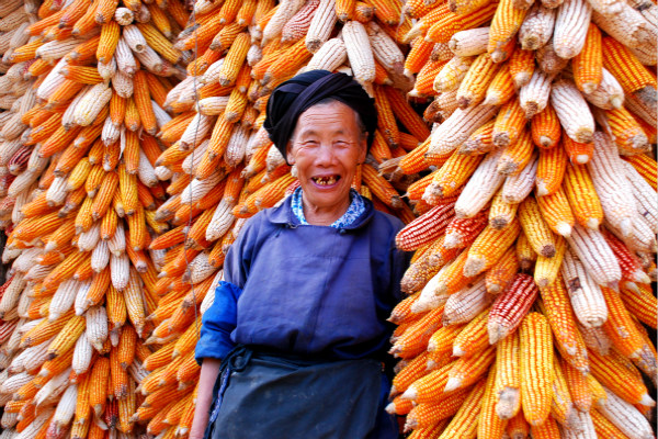 秋收冬藏 (600x400張志平 攝).jpg