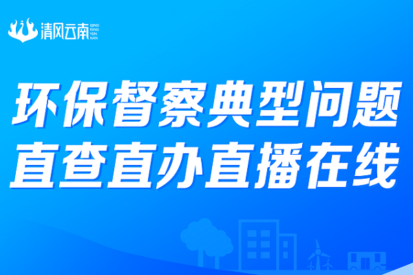環保督察典型問題  直查直辦直播在線