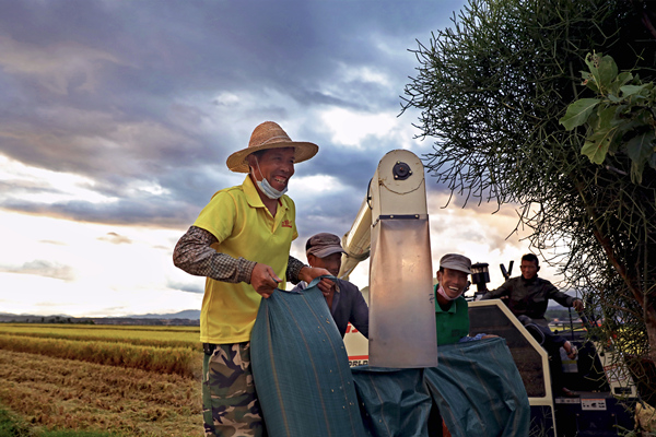 鏡頭|金秋十月 豐收喜悅