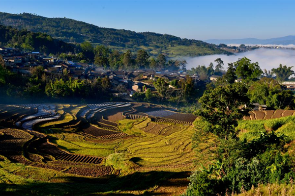 鏡頭 | 水秀山川 大美江東