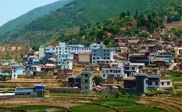 哈尼“小家”的好家風