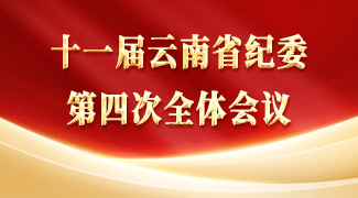 十一屆云南省紀委第四次全體會議