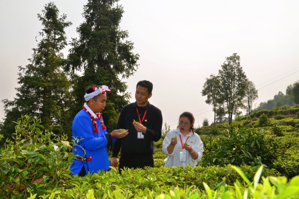 芒市:監督護航“舌尖上的非遺”