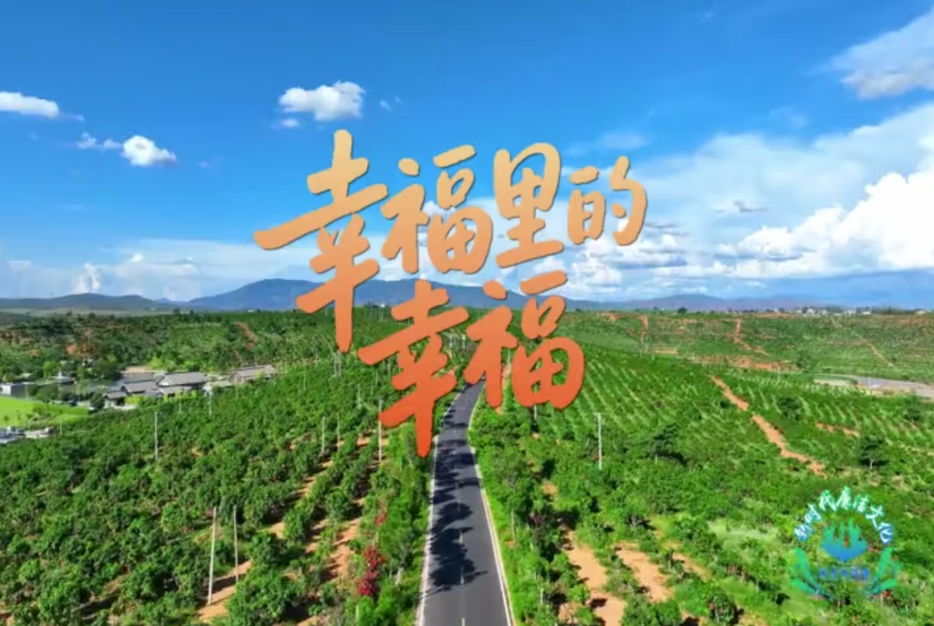 《幸福里的幸福》